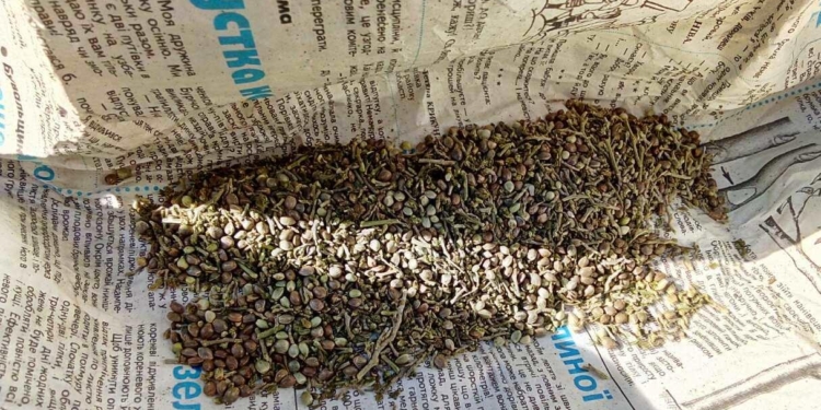 В Новобугском районе полиция изъяла у 53-летнего мужчины 6 кг каннабиса (ФОТО)