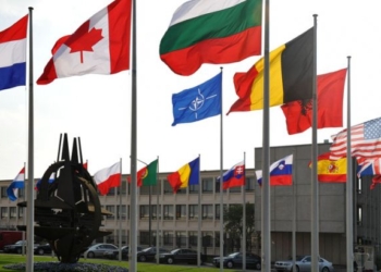 Парламентская Ассамблея  НАТО приняла доклад по Украине