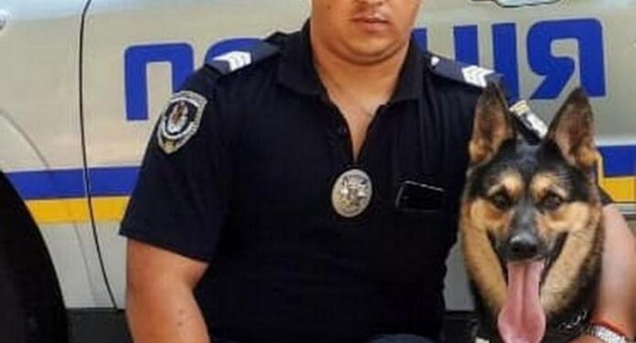 Под Днепром собака спасла 8-летнего ребенка от гибели (ВИДЕО)