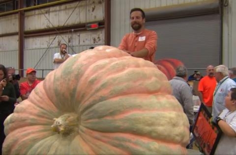 Тяжелее автомобиля:  гигантскую тыкву вырастил американский фермер