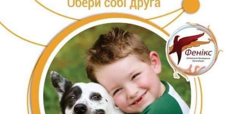 «Щастя не має породи»: в Николаеве зовут на выставку беспородных собак, где можно найти себе четвероногого друга