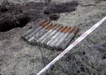 На Николаевщине обезвредили 10 артснарядов (ФОТО)
