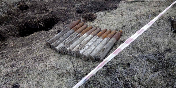 На Николаевщине обезвредили 10 артснарядов (ФОТО)