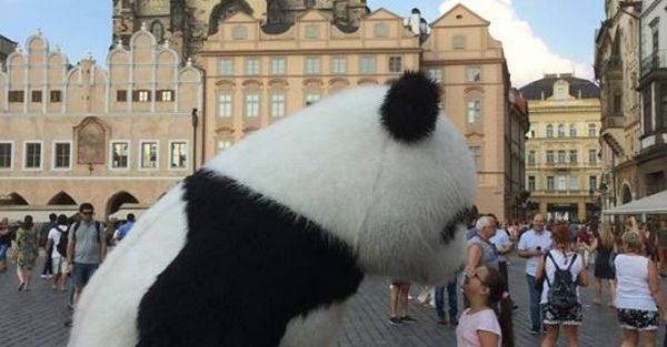 Уже во втором городе Чехии ввели запрет на ростовых кукол и мыльные пузыри