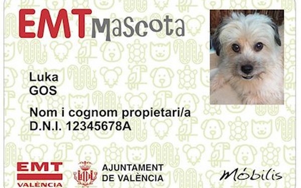 В общественном транспорте испанской Валенсии ввели именные проездные для домашних животных (ФОТО)