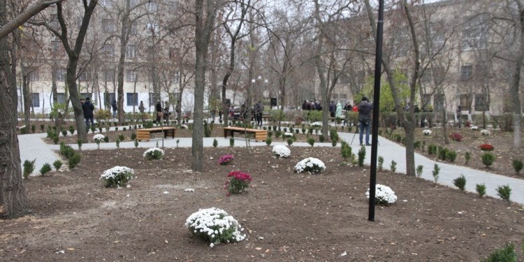 Самшит, хризантемы, кованые фонари и тротуарная плитка: в Николаеве реконструировали сквер им.М.Александрова (ФОТО)