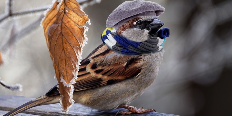 Николаевцы, не будьте равнодушны, – подсказывайте бездомным, где они могут поесть и согреться (АДРЕСА)
