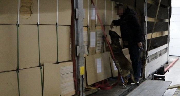 Фанера контрабандистам не помогла: на Закарпатье СБУ «отловила» 374 кг героина (ФОТО)