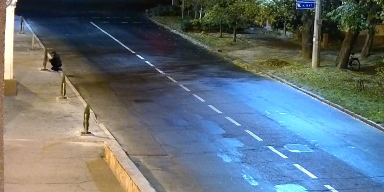 Николаевский вандал украл у ЧНУ им.П.Могилы молодые деревья – горожан просят помочь его опознать (ВИДЕО)