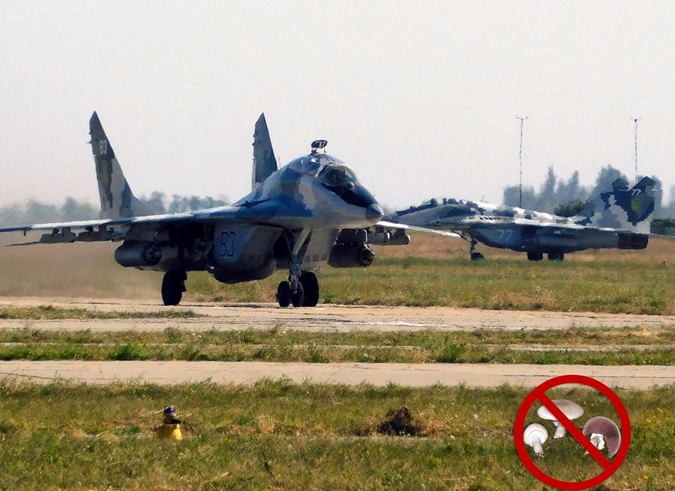 За минувшие выходные на двух военных аэродромах Украины задержали… грибников 1