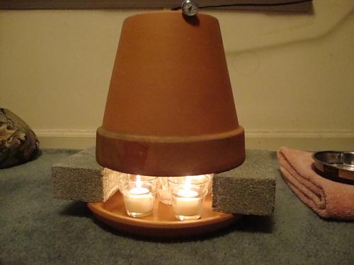 Не жди – замерзнешь! Как николаевцам экономно согреться при холодных батареях (ВИДЕО)