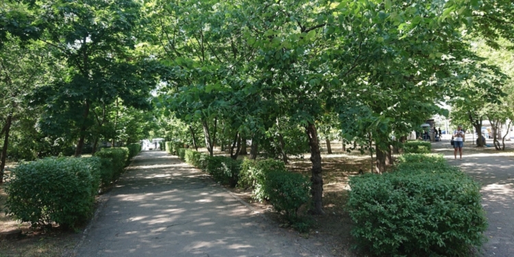 В Николаеве приступили к реконструкции сквера имени Александрова – обещают озеленение, освещение и прочие блага