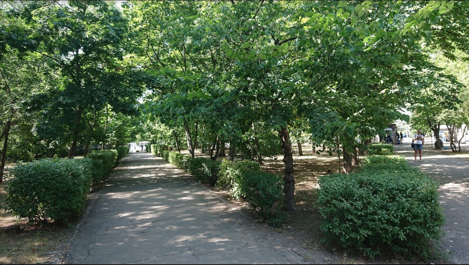 В Николаеве приступили к реконструкции сквера имени Александрова – обещают озеленение, освещение и прочие блага