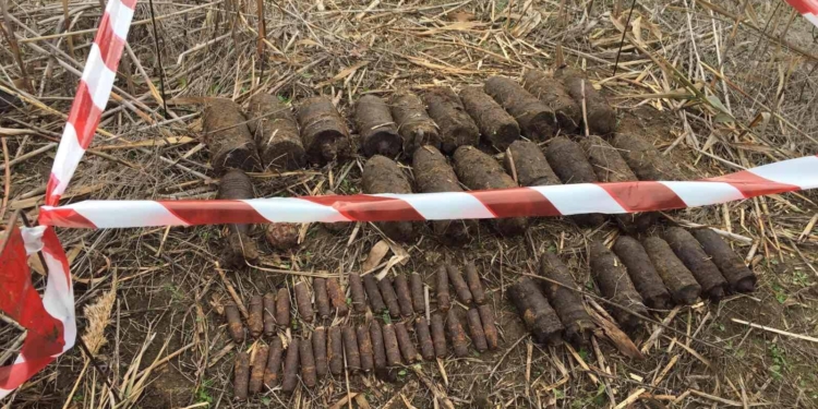 В Николаевской области обезвредили 60 взрывоопасных предметов (ФОТО)