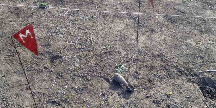 В Николаевской области пиротехники уничтожили минометную мину (ФОТО)