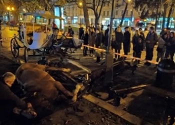 Напуганные петардой лошади травмировали девушку во Львове (ВИДЕО)