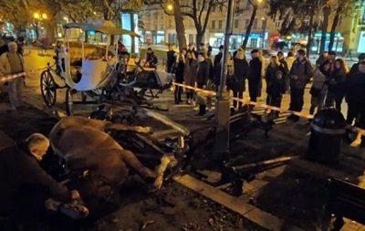 Напуганные петардой лошади травмировали девушку во Львове (ВИДЕО)