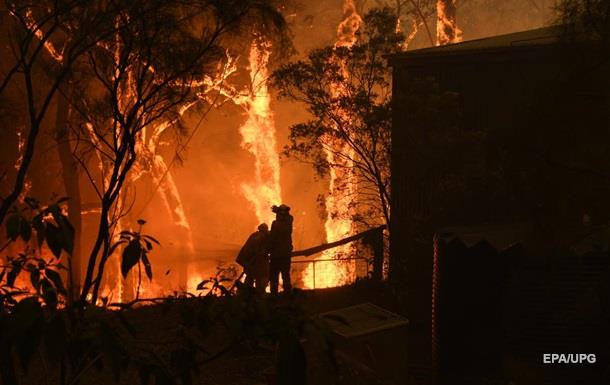 Сидней затянуло дымом из-за масштабного лесного пожара 1