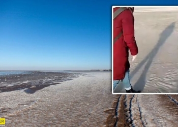 Азовское море “ушло” из РФ в Украину – дно оголилось на 1,5 км (ВИДЕО)