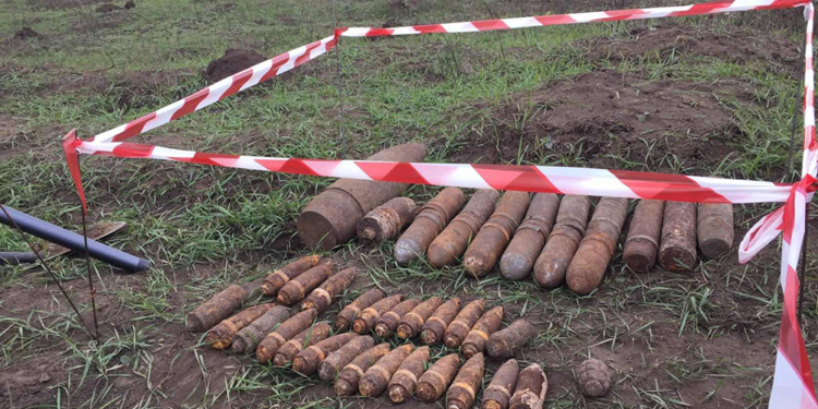 На Николаевщине обезвредили 43 старых артснаряда (ФОТО)