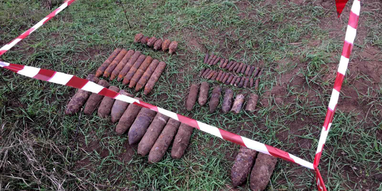 У села Шевченково на Николаевщине обнаружили 61 взрывоопасный предмет (ФОТО)