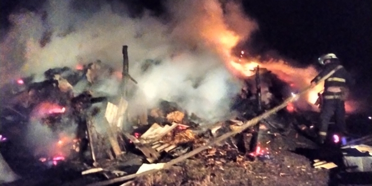 Хозпостройка, трансформаторная подстанция, сауна, автомобиль – что 12 раз вспыхивало на Николаевщине в минувшие сутки (ФОТО)