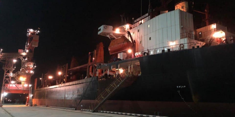 На судне, прибывшем в Николаев из Египта, таможенники нашли коноплю (ФОТО)