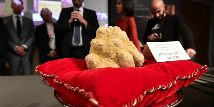 На Международной выставке в Италии килограммовый трюфель купили за 120 тыс.евро (ФОТО)