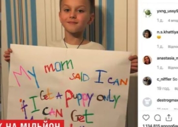 Школьник из Кропивницкого набрал миллион лайков, чтобы ему подарили щенка (ВИДЕО)