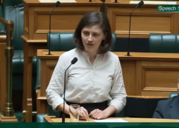 Депутат из Новой Зеландии во время заседания парламента ответила оппоненту мемом “Окей, бумер” (ВИДЕО)