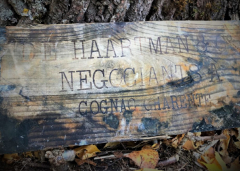 Царский груз: в Балтийском море нашли около 900 бутылок коньяка и ликера вековой давности (ВИДЕО)