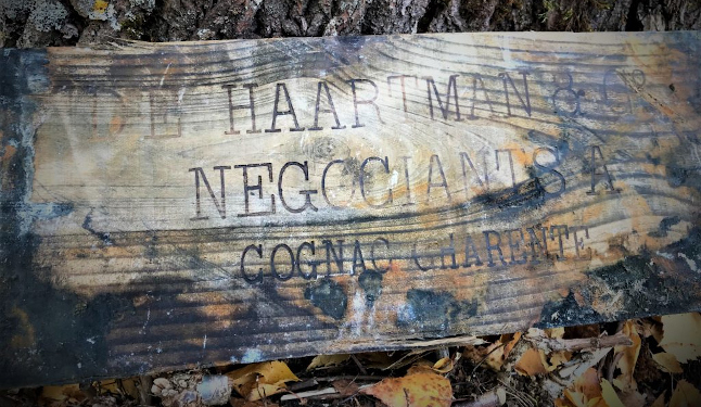 Царский груз: в Балтийском море нашли около 900 бутылок коньяка и ликера вековой давности (ВИДЕО)