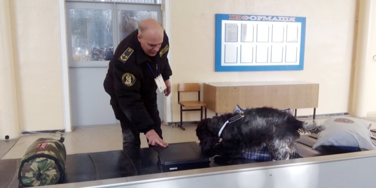 Лучший запах даже для собаки? Спаниель-“таможенник” в Запорожском аэропорту унюхала почти $14 тыс.