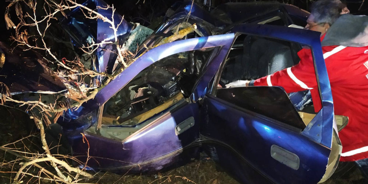 На Николаевщине Opel врезался в дерево, водитель погиб (ФОТО)