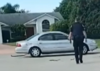 В США пес включил заднюю передачу и целый час ездил по кругу (ВИДЕО)