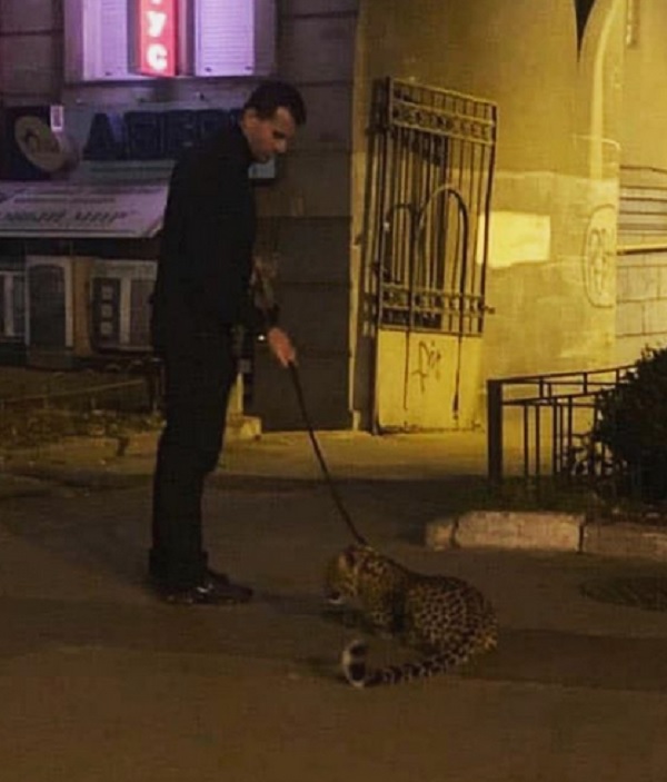 В Киеве мужчина выгуливал леопарда на поводке (ФОТО) 3