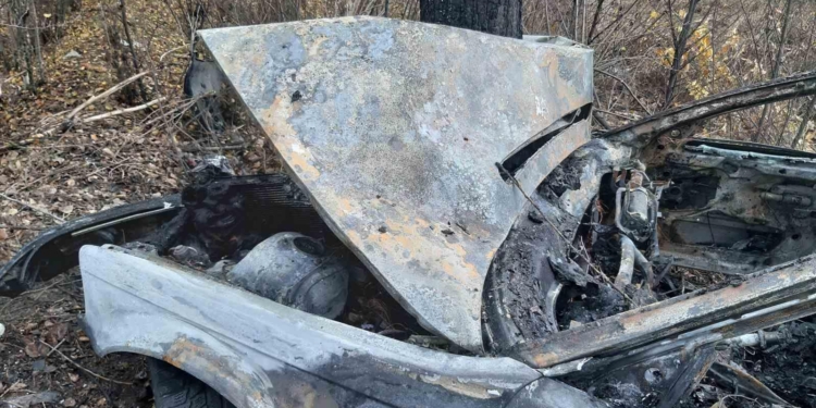 ДТП под Николаевом: возле Половинок загорелось BMW (ФОТО)