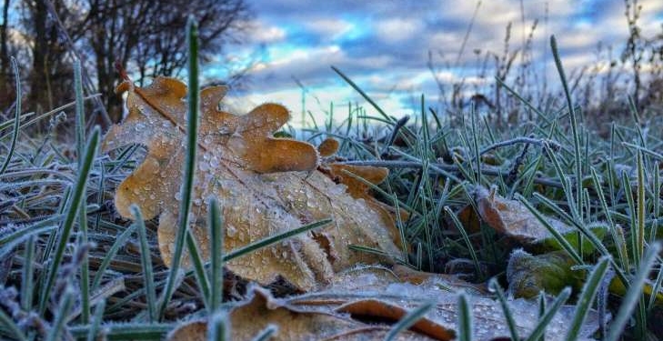 На следующей неделе украинцам прогнозируют похолодание