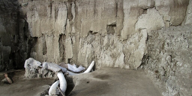 Археологи нашли крупнейшее за всю историю захоронение мамонтов (ФОТО, ВИДЕО)