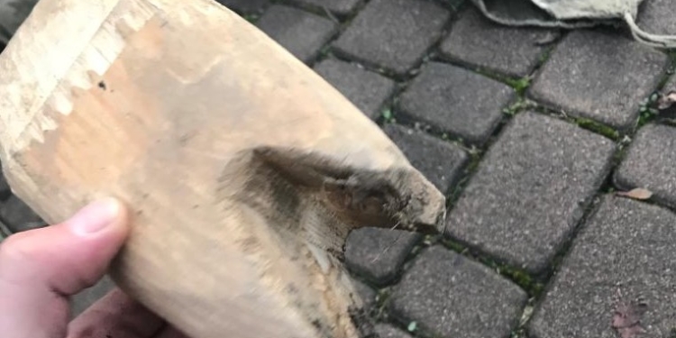 Метнулись кабанчиком. Пограничники задержали вьетнамских нелегалов с копытами для маскировки (ФОТО, ВИДЕО)