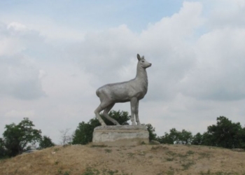 Олені, олені, не бриті, не голені: олень, который решил спариться со статуей оленихи, пережил шок (ВИДЕО)