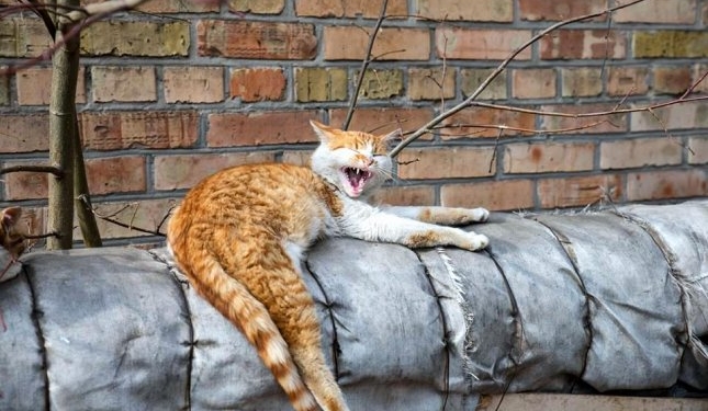 Завтра в Украине без осадков, температура до +4