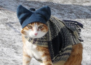 Завтра в Украине без осадков, температура до +4