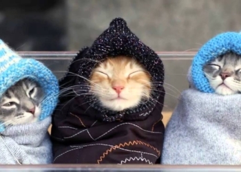 Завтра в Украине без осадков, температура до +6