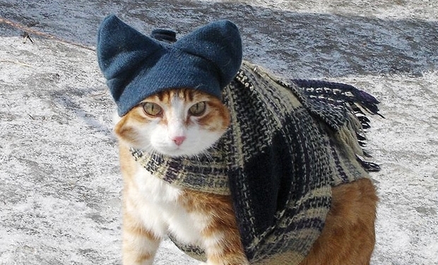 Завтра в Украине без осадков, температура до +4