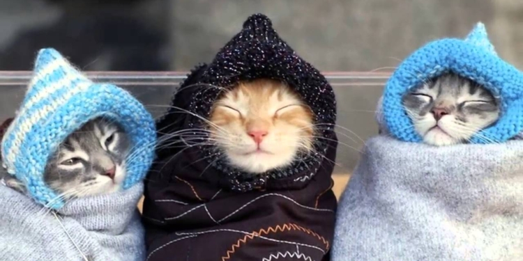 Завтра в Украине без осадков, температура до +6