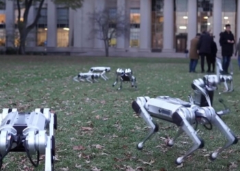 В США выгуляли в парке роботов-собак (ВИДЕО)
