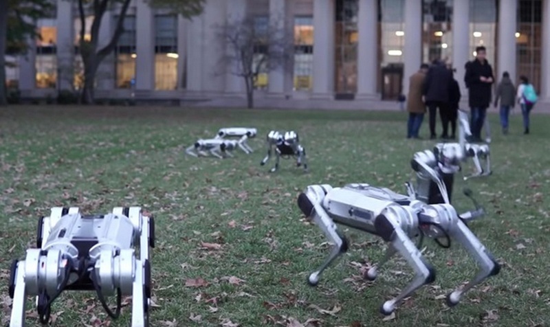 В США выгуляли в парке роботов-собак (ВИДЕО) 1