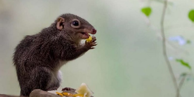Пьет вино по два часа в день и не пьянеет: главный любитель алкоголя в мире жиотвных