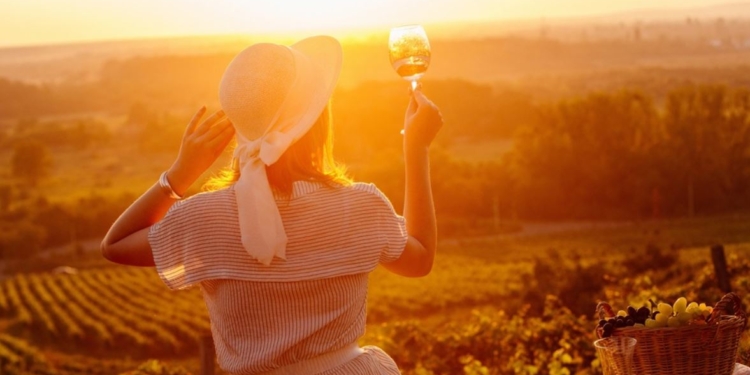 Дороги вина и вкуса. В Закарпатье знают, что нужно туристам